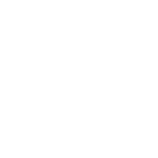 Play Store